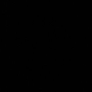 Meet your Posher, Yesenia